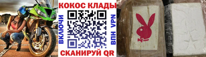 КОКАИН Fish Scale  Суджа 