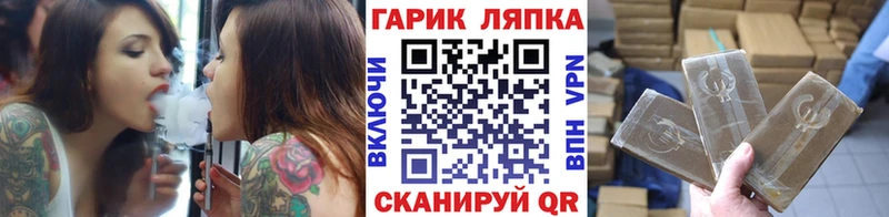 ГАШ Premium  Суджа 