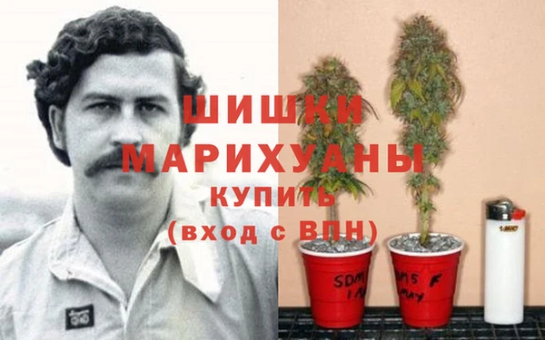 spice Абдулино