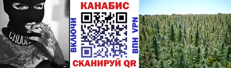 хочу   Суджа  Каннабис White Widow 